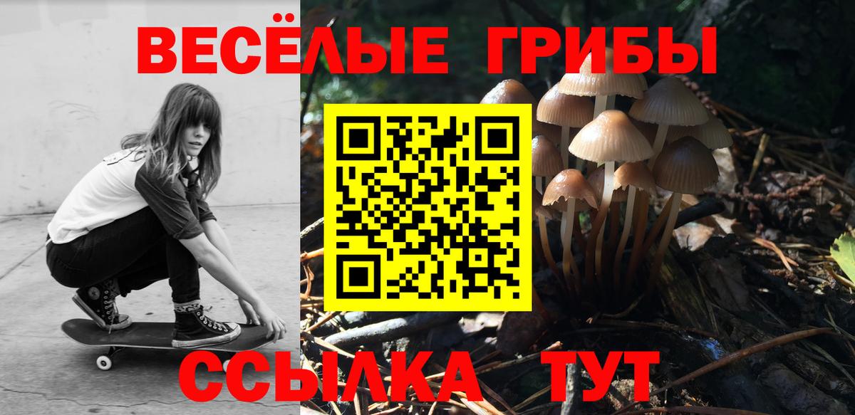 Галлюциногенные грибы прущие грибы  Псилоцибиновые грибы мухоморы  Кумертау  Вход с VPN 